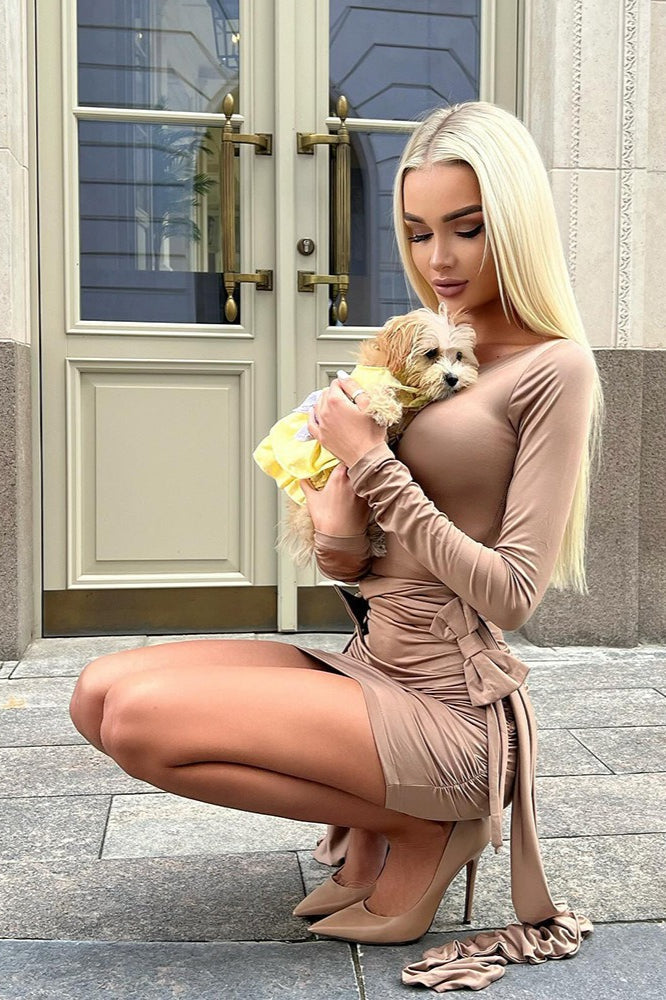 Crew Neck Long Sleeve Bow Tie Ruched Mini Dress