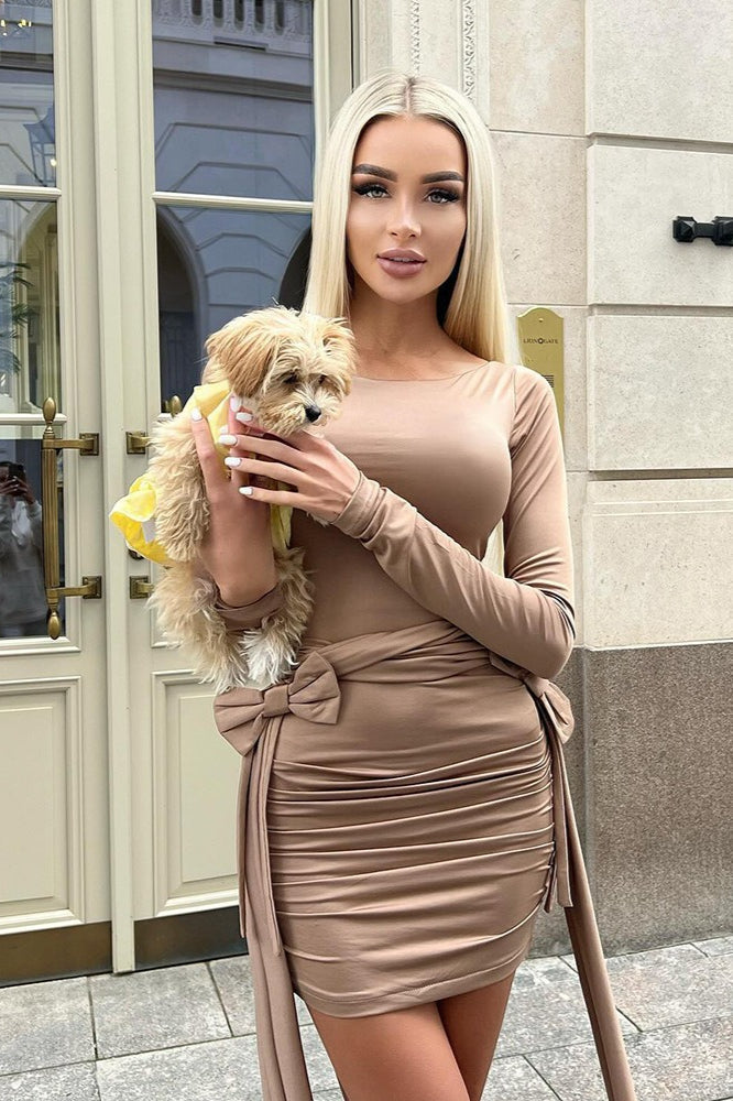 Crew Neck Long Sleeve Bow Tie Ruched Mini Dress