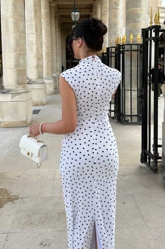 Elegant Polka Dot Round Neck Maxi Dress